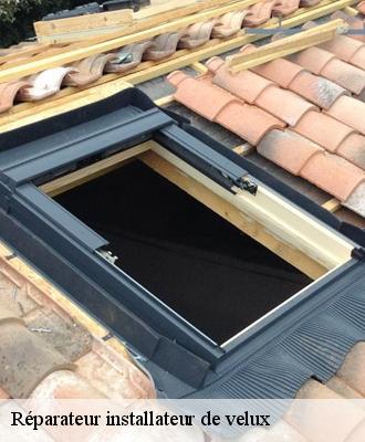 Réparateur installateur de velux