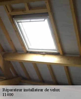 Réparateur installateur de velux