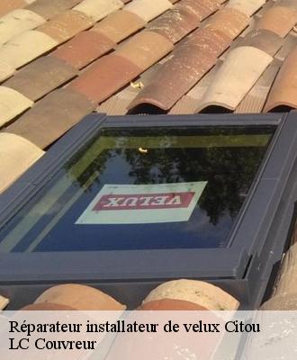 Réparateur installateur de velux