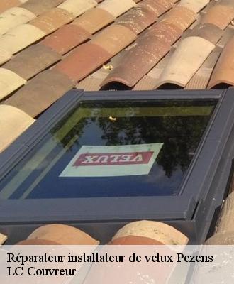 Réparateur installateur de velux