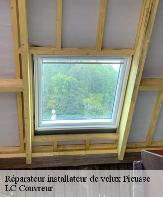 Réparateur installateur de velux