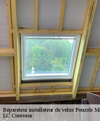Réparateur installateur de velux