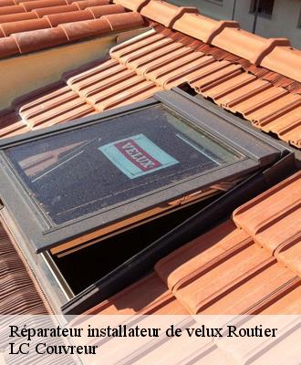 Réparateur installateur de velux
