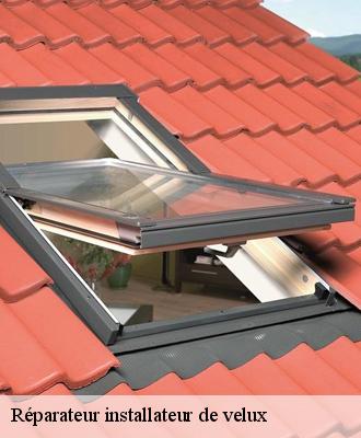 Réparateur installateur de velux