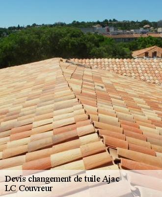 Devis changement de tuile