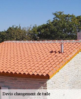 Devis changement de tuile