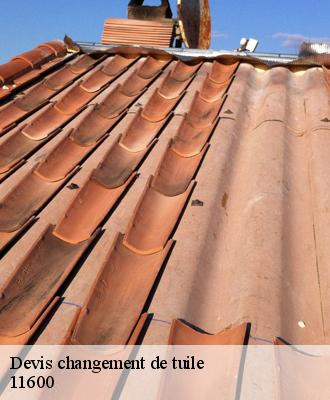 Devis changement de tuile