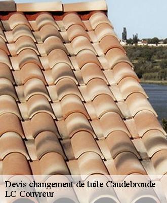 Devis changement de tuile