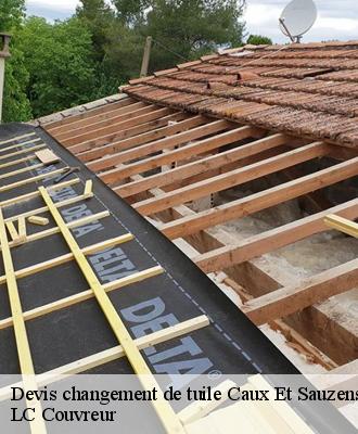 Devis changement de tuile