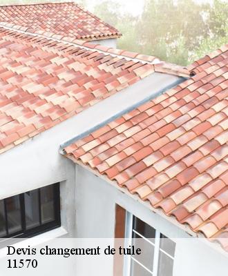 Devis changement de tuile