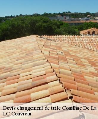 Devis changement de tuile