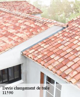 Devis changement de tuile