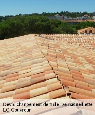 Devis changement de tuile
