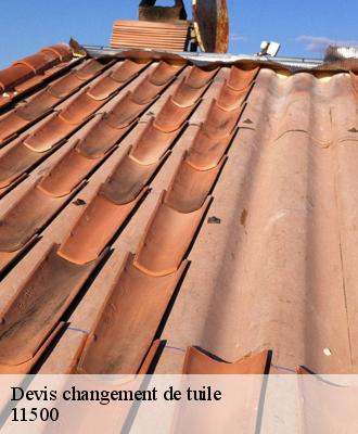 Devis changement de tuile