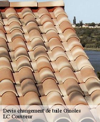 Devis changement de tuile