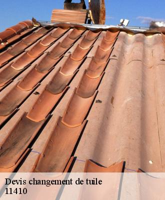 Devis changement de tuile