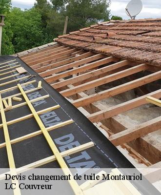 Devis changement de tuile