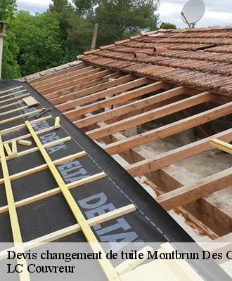 Devis changement de tuile