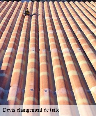 Devis changement de tuile