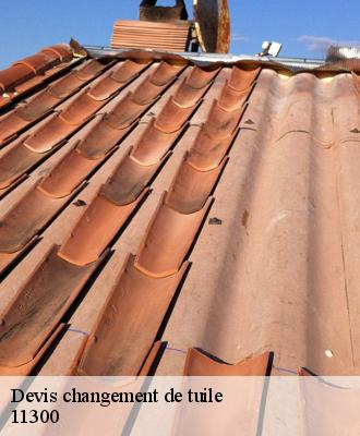 Devis changement de tuile
