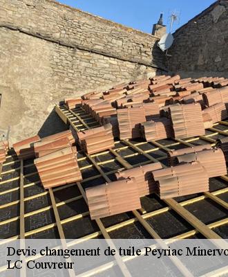 Devis changement de tuile