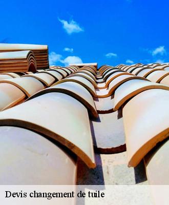 Devis changement de tuile