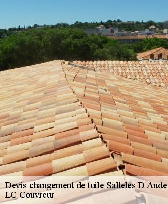 Devis changement de tuile