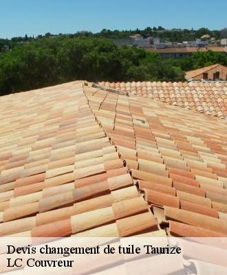 Devis changement de tuile