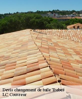 Devis changement de tuile