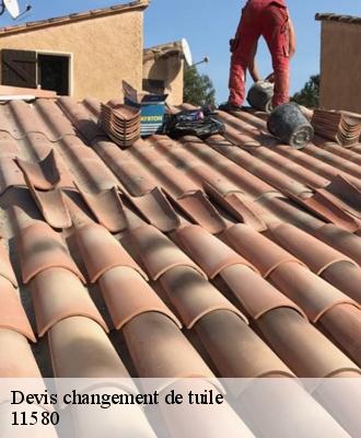 Devis changement de tuile