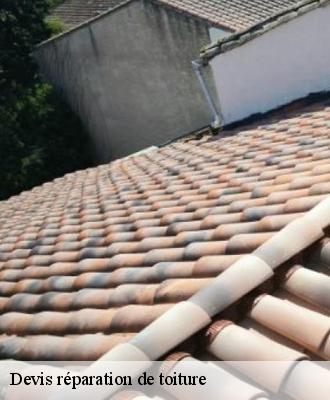 Devis réparation de toiture