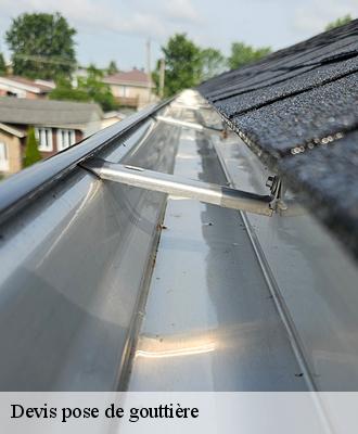 Devis pose de gouttière