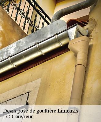 Devis pose de gouttière