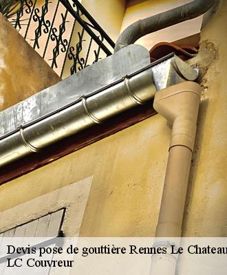Devis pose de gouttière