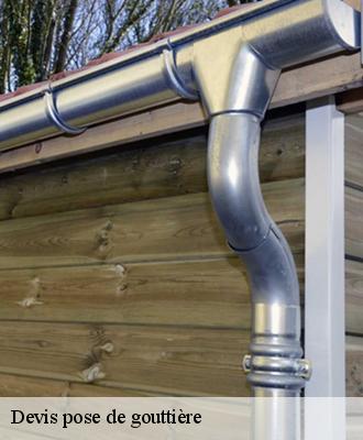 Devis pose de gouttière