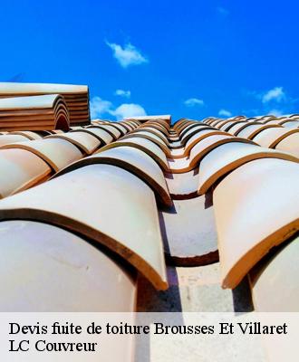 Devis fuite de toiture