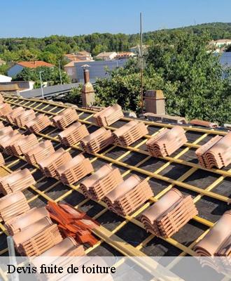 Devis fuite de toiture