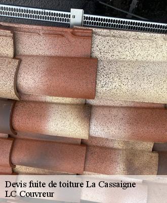 Devis fuite de toiture