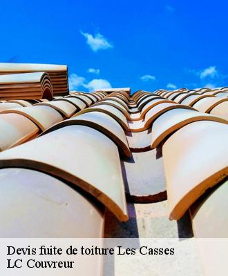 Devis fuite de toiture