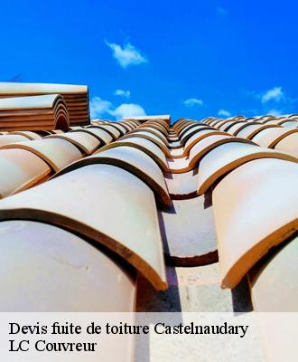 Devis fuite de toiture
