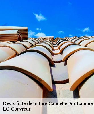 Devis fuite de toiture