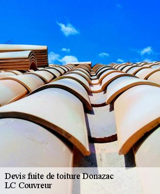 Devis fuite de toiture