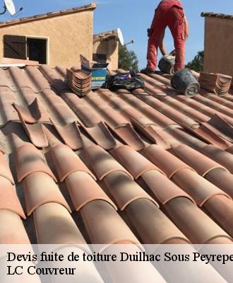 Devis fuite de toiture