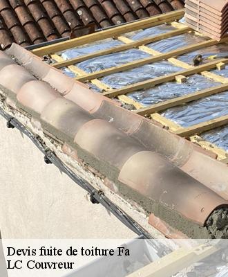 Devis fuite de toiture