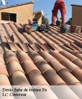 Devis fuite de toiture