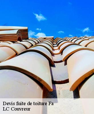 Devis fuite de toiture