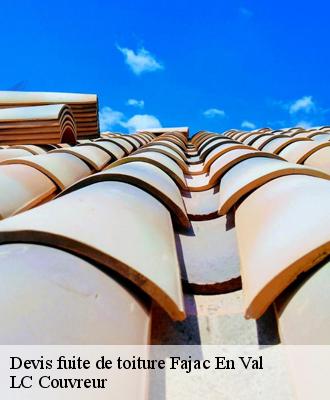 Devis fuite de toiture
