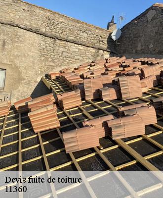 Devis fuite de toiture