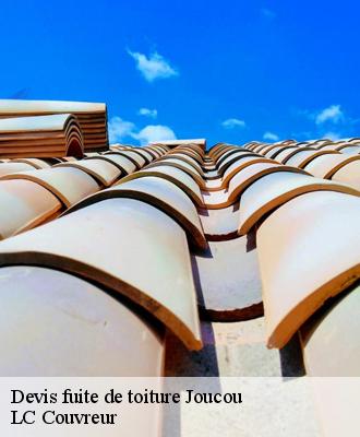 Devis fuite de toiture