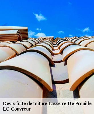 Devis fuite de toiture
